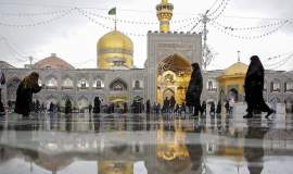 شوق زیارت